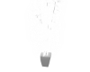 Neon white Weed