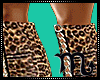 ♫Leopard Boots