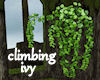 !Climbing Ivy filler