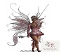 Fairy Bundle