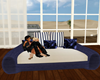 navy and white,sofabed