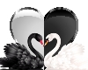 Black White Swans Hearts