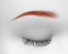 EYEBROWS GINGER