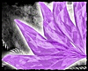 [SS] Lilac Diamond Tail