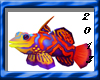(K) SEA Fish animated