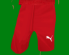 [Z2] SWISS SOCCER SHORT