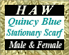 Quincy Blue Scarf