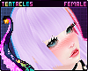 ⭐ Neko Bangs Lilac
