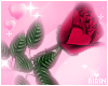 Hand Rose
