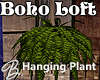 *B* Boho Loft Hang Plant
