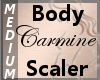 Body Scaler CarMine M