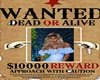 Cowboy's wanted poster