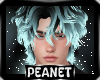 Fiero | Hair