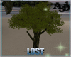 A3D*Tree