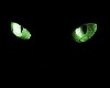 Cat Eyes Green pic