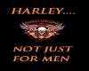 Harley and Men