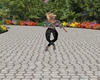 14P Everybody Dance