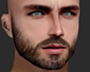 Head
