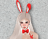 [NiK] Bunny R