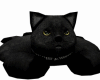 Negro Cat Rug