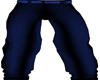 Sweet Blue Pants