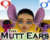 Mutt Ears -v3