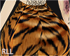 TIGRE