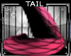 Burlesque * Tail V4
