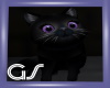 GS Black Witchy Cat /Pet