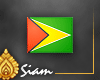 iFlag* Guyana