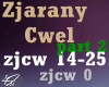 Zja rany Cw*el / p2