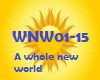 A whole new world