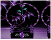 purple dragon rose