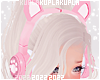 $K Neko Headset