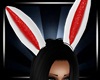 (DAN) Easter Bunny Ears