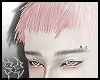 5C DRUZ PINK