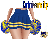 Cheerleading Pompoms