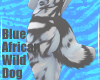 BlueWildDog-Tail V5