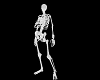 Glass Skeleton