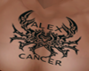 tatoo alex