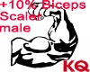 KQ +10% Biceps Scaler M