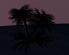 Nighttime Palm tree