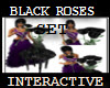 BLACK ROSES INTERACTIVE