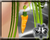x13 misbehave carrot E 