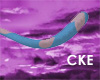 CKE ValentineBlue Tail