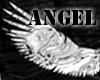AngelWings Animated(kmo)