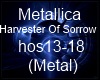 (SMR) Metallica hos 3