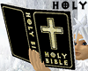 Standard Holy Bible M