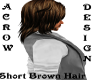 Short Brown Hair
