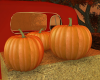Real Pumpkins